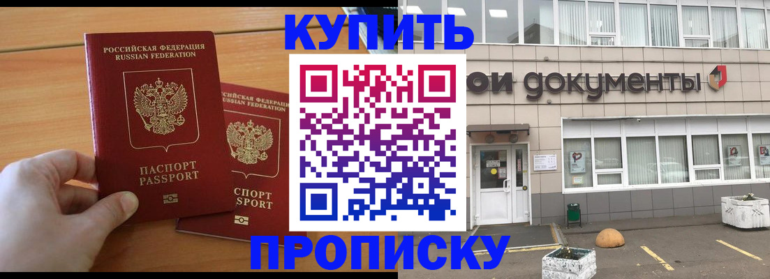 миграционный учет в Камчатском крае